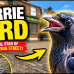 Corrie Bird